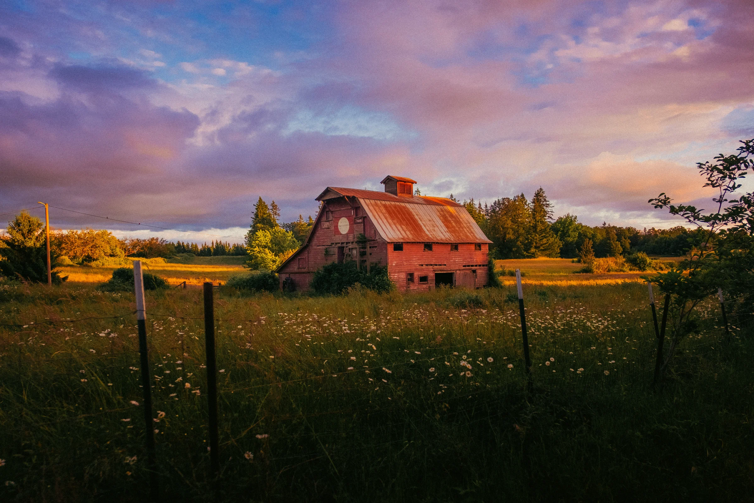 old red barn sunset washougal wa wildflowers june 2026