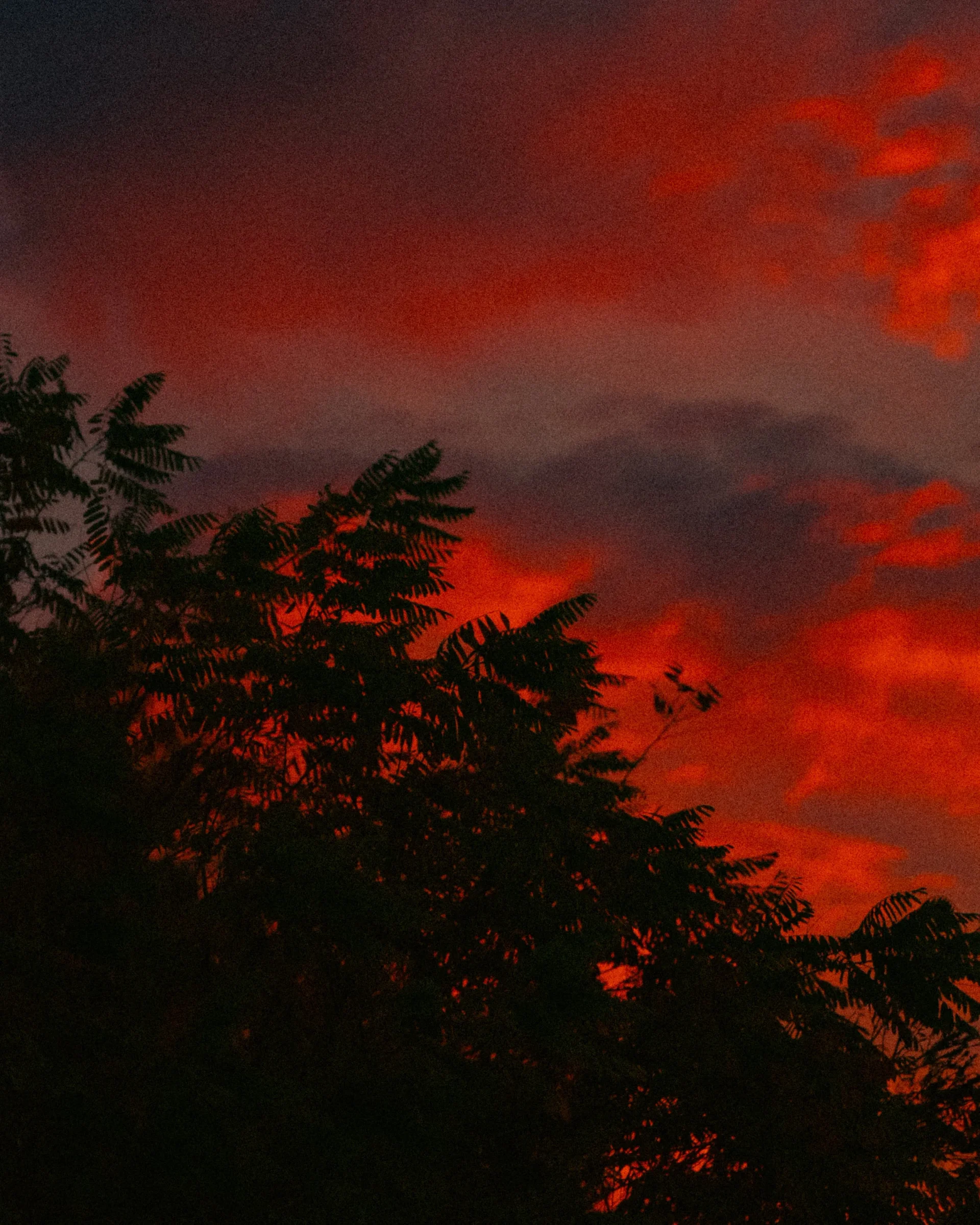 commissioned red sunset